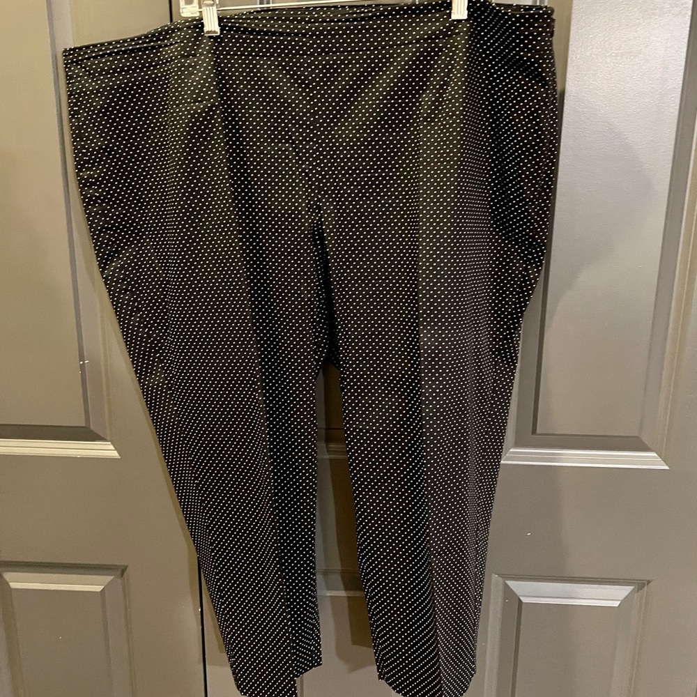 Talbots Dress Pants